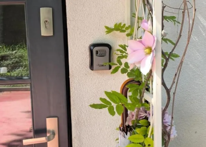 Z Widokiem Na Zamek * Lidzbark Warminski